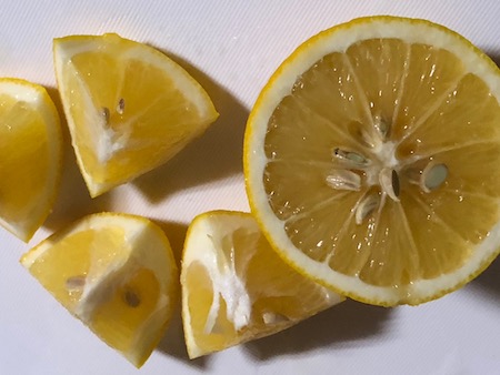 マイヤーレモンの写真