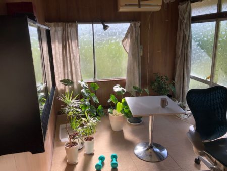 斑入り植物のカフェスペースにリノベーション中の部屋